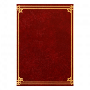 r.d. haggins upcoming book